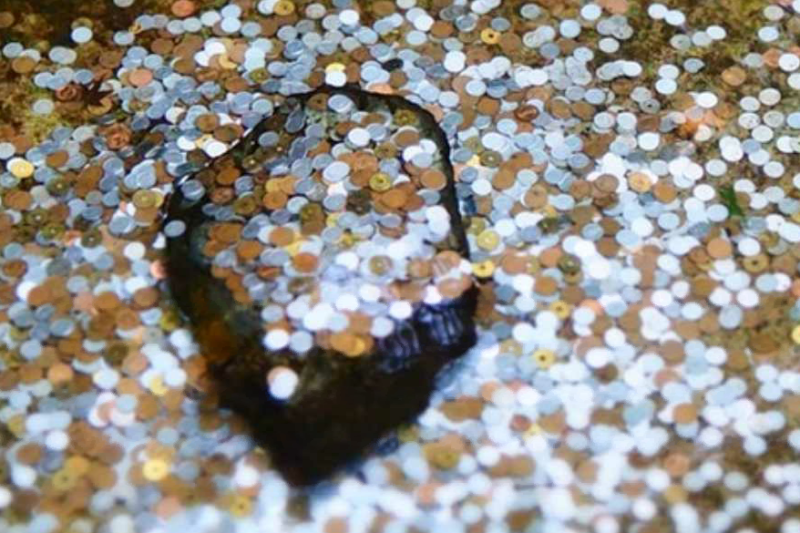 Kan inndratte midler forsterke politiet?