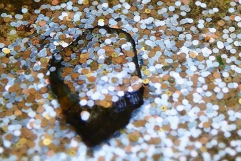 NØF-seminar i Bergen 19. mars